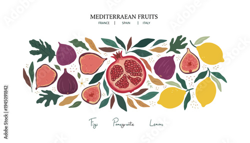 Mediterranean fruits vector illustration with figs, pomegranate and lemons