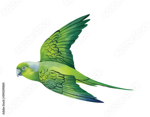 Exotic green parrot flying in hand painted watercolor.
