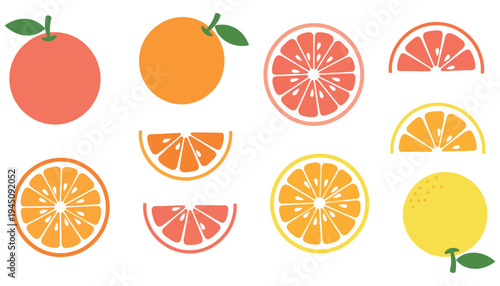 A vibrant citrus fruit illustration set with various slices and whole fruits