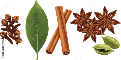 Spices and Herbs Vector Set Cinnamon Sticks Star Anise Clove Cardamom Bay Leaf Natural Cooking Seasoning Ingredients