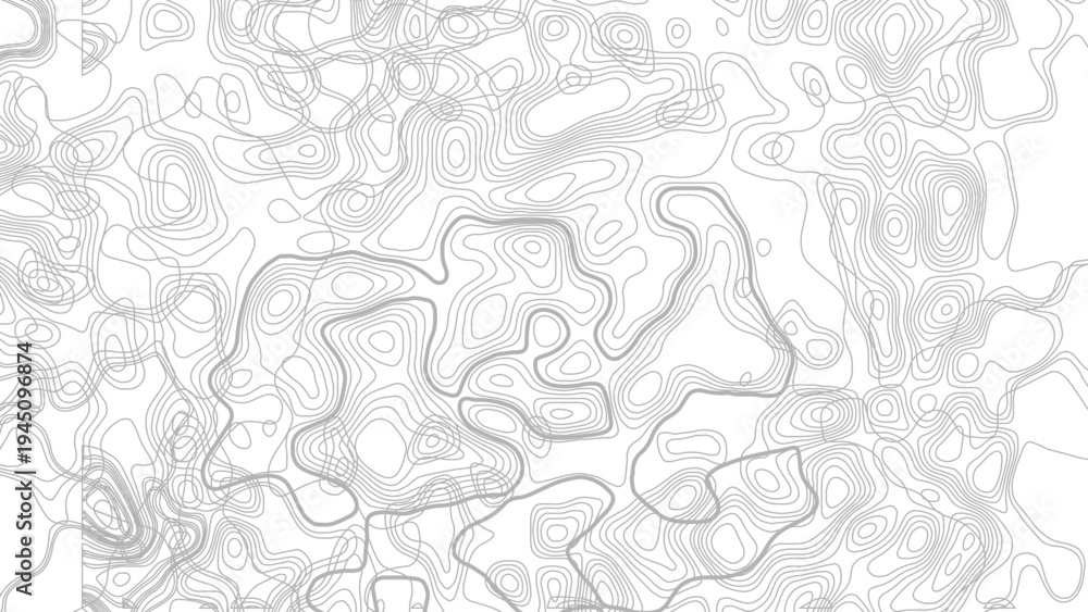 Fototapeta premium Topography background. Vector banner. Topography map background. digital print terrain lines texture vector white background. 