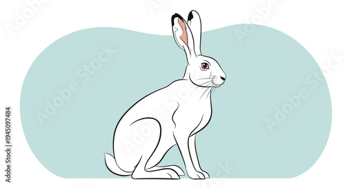 Detailed illustration of a white arctic hare sitting alertly against a light blue background representing wild animal species and nature.