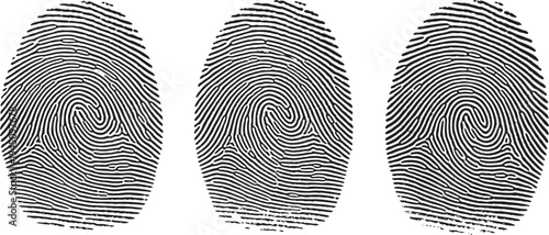 A unique black ink fingerprint vector pattern on a white background serves as biometric forensic evidence for criminal identification and security identity marking