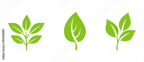 Vibrant botanical leaf illustrations symbolizing growth, nature, and organic sustainability for eco-friendly design