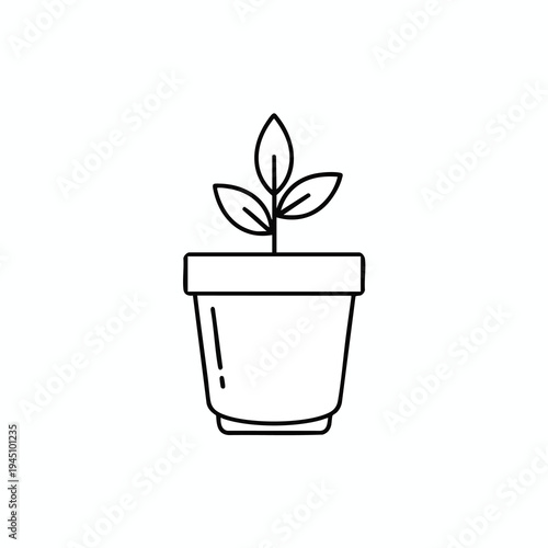 A black and white outline drawing of a young plant with three leaves growing from a simple pot