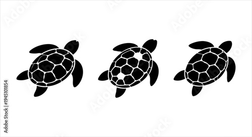 Vector illustration of three distinct sea turtles portraying ocean conservation efforts