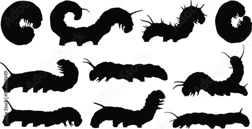Caterpillar silhouette set vector illustration, crawling insect larvae collection isolated black bug shapes nature entomology design