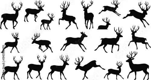 Deer and Fawn Silhouettes with Antlers on White Background vector illustration