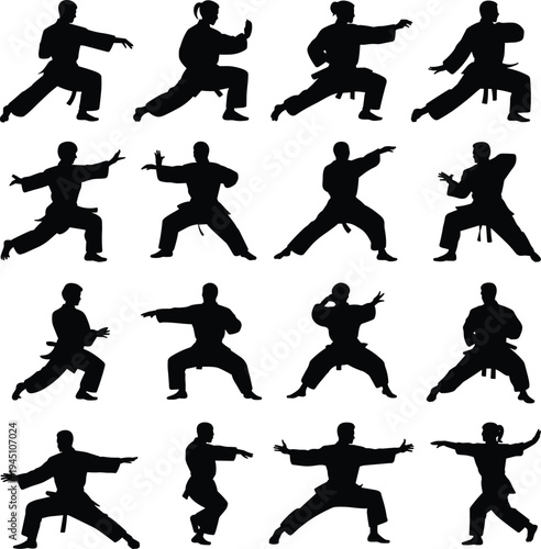 Silhouette martial arts poses, karate kung fu stances, dynamic movement training discipline, combat sports vector illustration artwork design