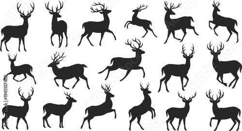 Diverse Silhouette Deer Collection Antlers Standing Running Walking Poses stag animal