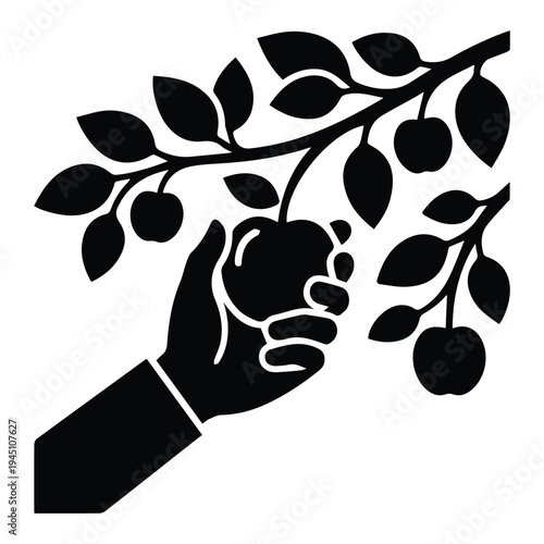 Hand picking fruit from branch Icon Silhouette vector black design on a white background