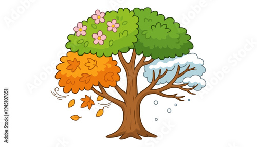Tree seasons illustration showing four different times of year