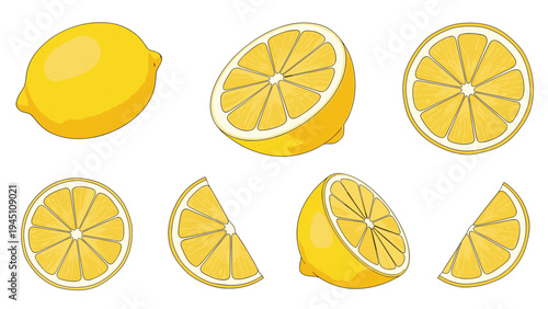Set of bright yellow lemon illustrations featuring whole fruit half pieces and various slices isolated on a white background for kitchen.