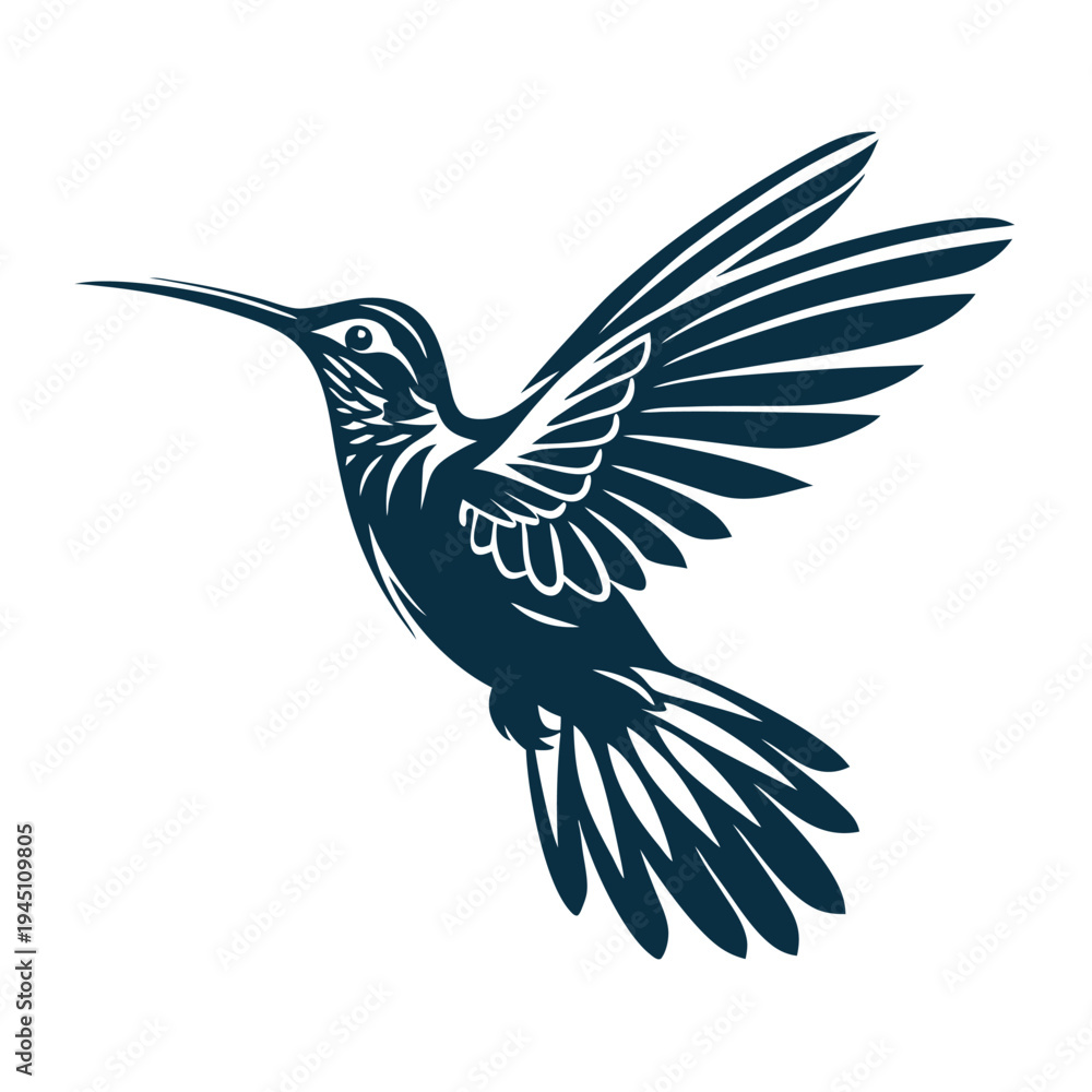 Fototapeta premium Flying hummingbird line art sketch - vector illustration for natural beauty