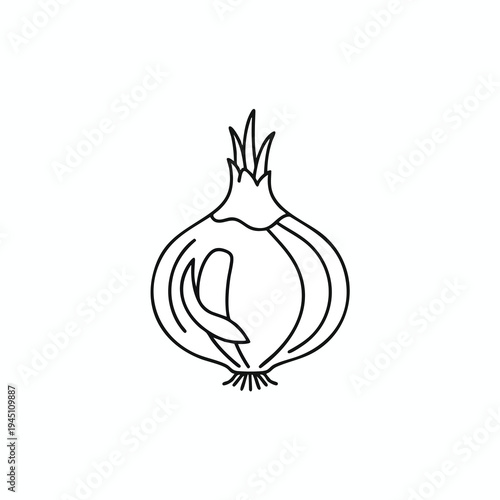 Simple line drawing of a halved bulbous vegetable with green sprouts