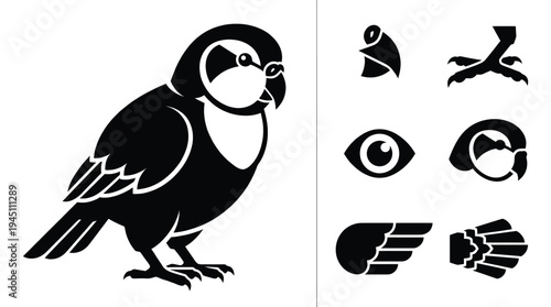Cute parakeet bird vector illustration set featuring parakeet body head with beak eye wing and bird tail icons isolated