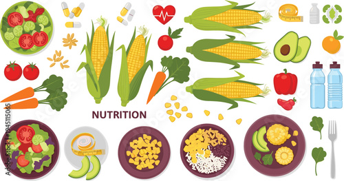 Healthy Nutrition Food Collection with Corn, Avocado, Salad, Vegetables, Vitamins and Balanced Diet Ingredients for Organic Healthy Eating Vector Illustration Set