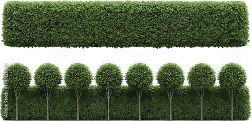 Garden hedge borders and trimmed trees collection landscaping greenery vector illustration