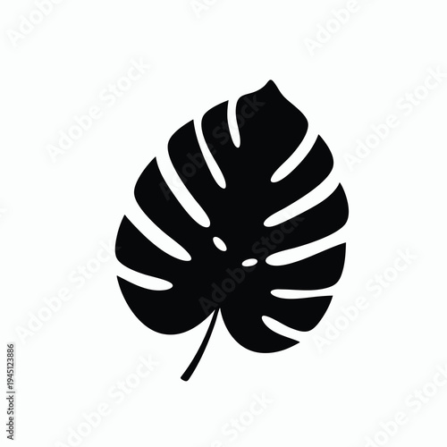 Black silhouette of a tropical monstera leaf with fenestrations on a white background