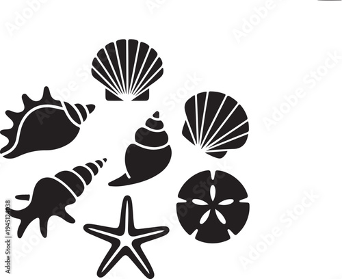 Black and white of seashells and starfish