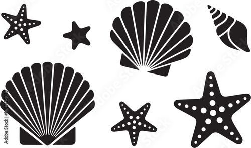 Black and white sea shell starfish scallop shell conch shell