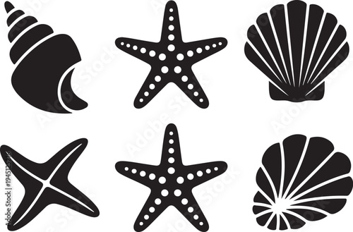 Black and white sea shell starfish