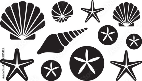 Black and white sea shells and starfish ocean beach