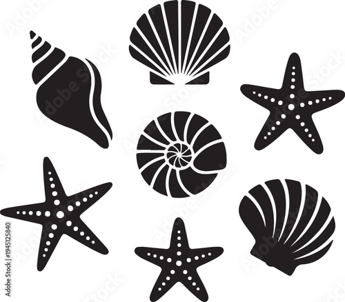Black and white sea shells and starfish ocean marine life