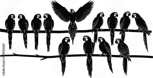 Silhouette of parrots perched on branches, group of birds, one with wings spread, individuality concept, 
 of parrots perched on branches, group of birds, one with wings spread