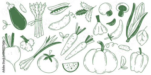 Hand drawn farm vegetables set. Loose drawing organic healthy food. Product group doodle sketch style, vector graphics