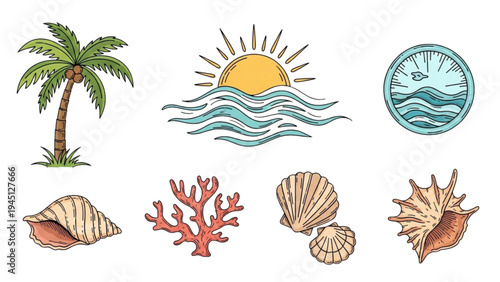 Tropical seashells and coral on a sunny beach scene with palm