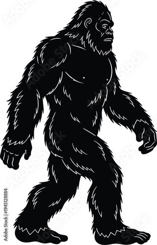 Bigfoot sasquatch silhouette walking, legendary forest creature, mysterious ape monster figure, cryptid myth vector illustration isolated