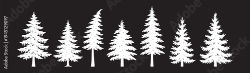 Collection of fir trees vector silhouettes on a black background