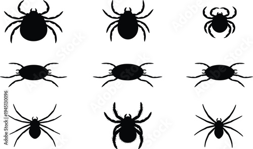 Set of Nine Different Spider Silhouettes Isolated on White Background for Halloween Horror Design Projects