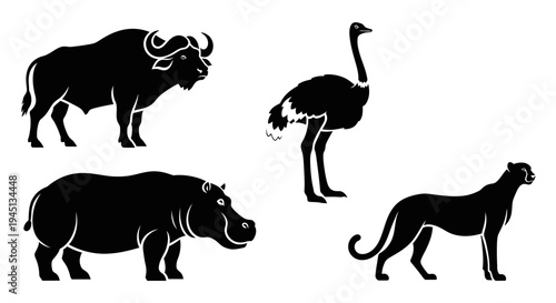 Wild African Animals Silhouettes: Buffalo, Ostrich, Hippopotamus, and Panther