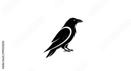 Black Raven or Crow Silhouette Standing on White Background