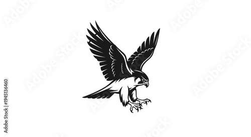 Dynamic Black and White Falcon Illustration with Spread Wings and Extended Talons