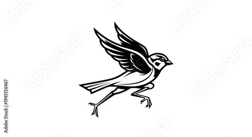 Dynamic Black and White Bird Illustration in Flight - Avian Graphic Design Element