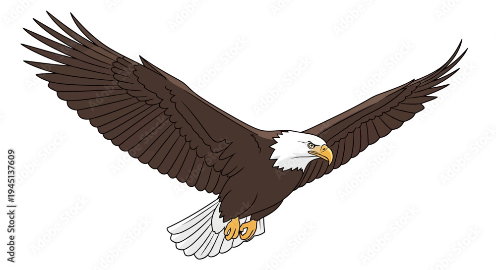Fototapeta premium Bald Eagle in Flight Soaring High.