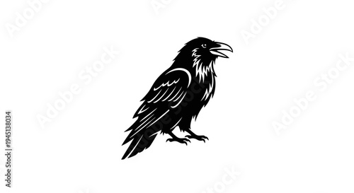 Black Raven Bird Illustration Standing on Clean White Background