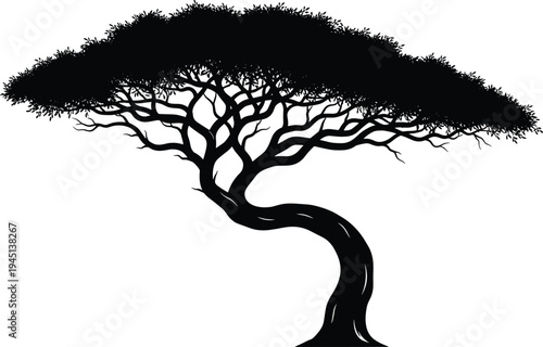 Stylized acacia tree silhouette with curved trunk and wide canopy, artistic nature illustration symbolizing resilience, ecology, savanna landscape design