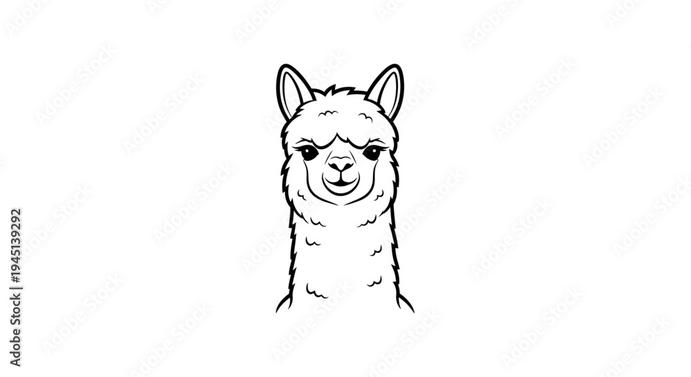 Fototapeta premium Smiling Alpaca Head Outline Drawing Isolated on White Background