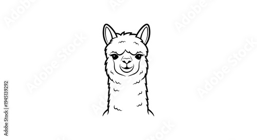 Smiling Alpaca Head Outline Drawing Isolated on White Background