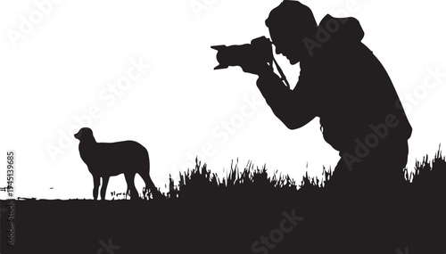 Silhouette of photographer taking of lamb in grass