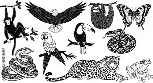 Vector illustration of rainforest animal silhouettes including monkey, eagle, sloth, butterfly, snakes, parrot, toucan, jaguar, and frog symbolizing biodiversity