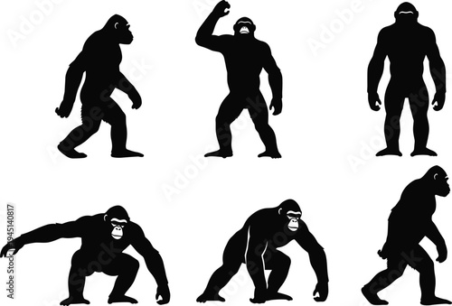 Vector illustration of silhouetted gorillas in diverse poses including upright, walking, crouching, squatting, and leaning symbolizing wildlife, behavior, identity, diversity