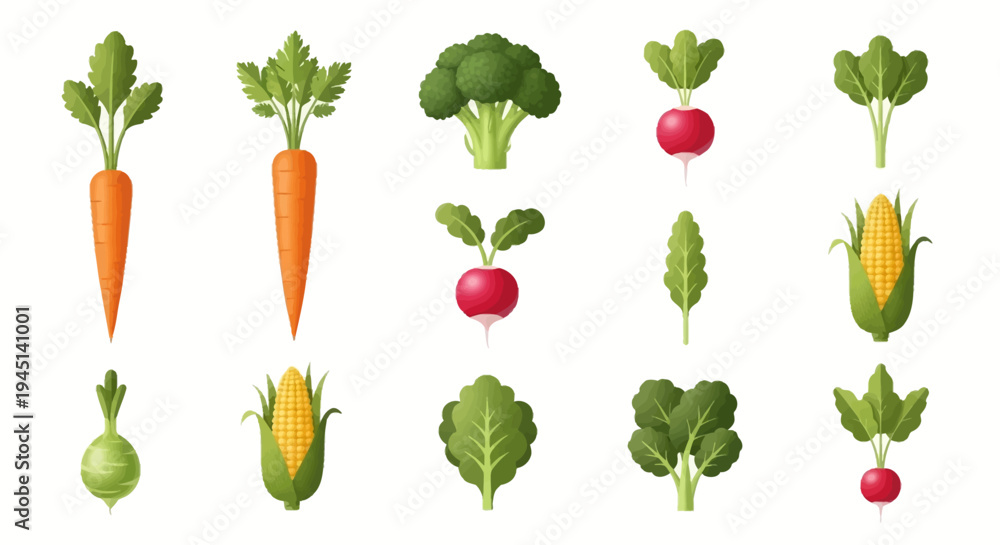 Fototapeta premium Variety of fresh green vegetables displayed.