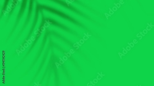 Tree Branch Shade Effect VFX Green Screen Chroma Key Nature Shadow Overlay
