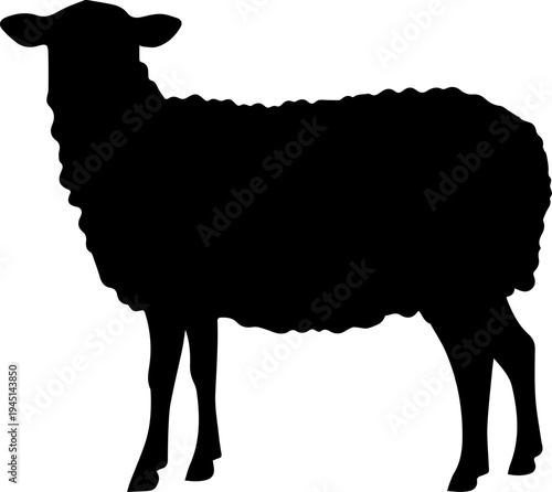 Domestic Sheep Farm Animal Silhouette