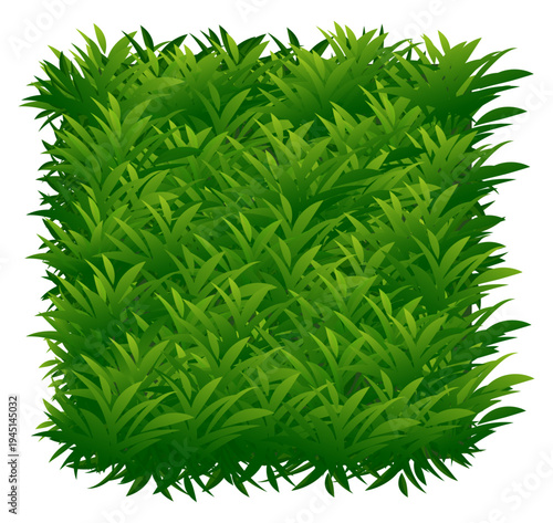 Green grass texture natural lawn banner background vector